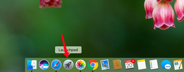 Install and activate Magoshare Mac software