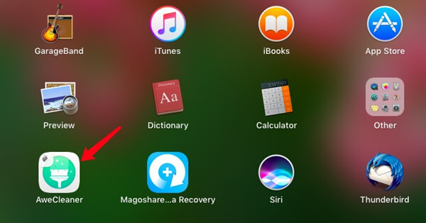 Install and activate Magoshare Mac software