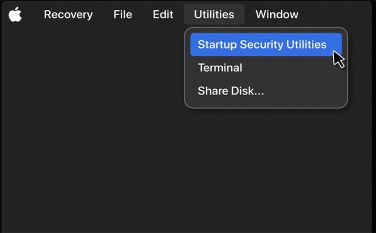 Load System Extension to Recover Lost Data from Apple Silicon Chip Mac