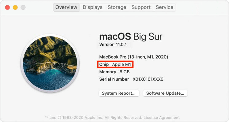 check Mac chip