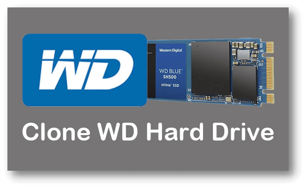 WD Backup