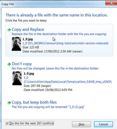 recover a file that was replaced by same name file