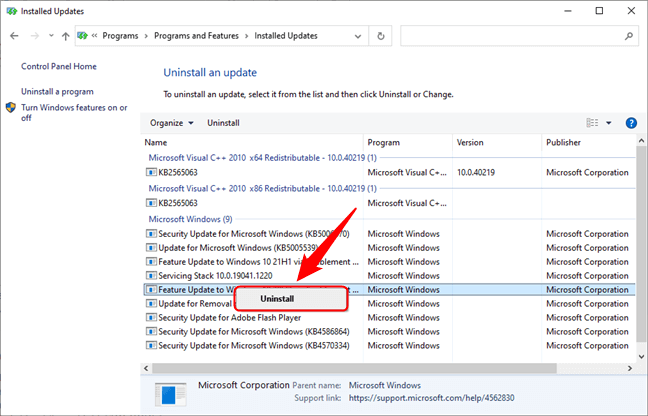 Disable Windows 11 Updates
