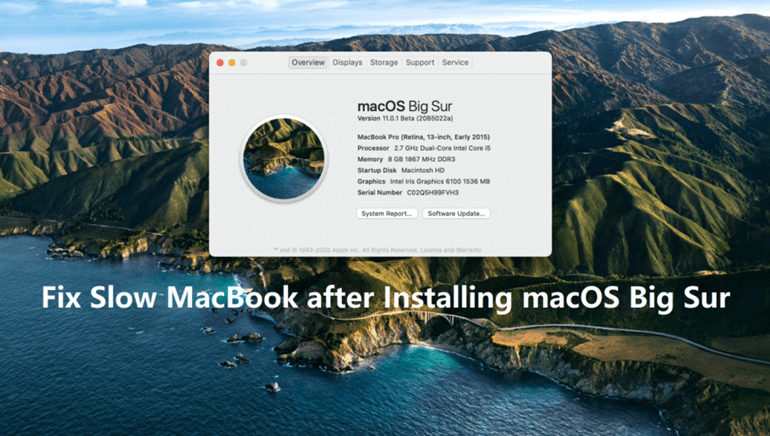 Fix Slow MacBook after Installing macOS Big Sur