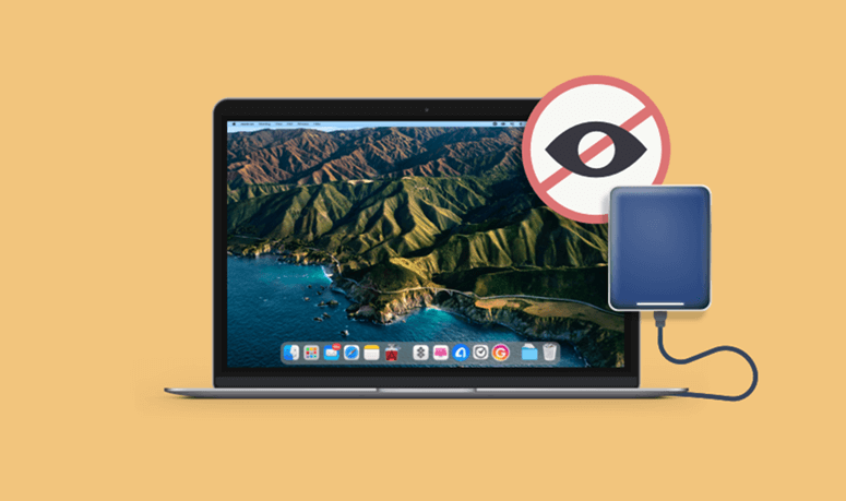 fix external hard drive not showing up on Apple Silicon Mac