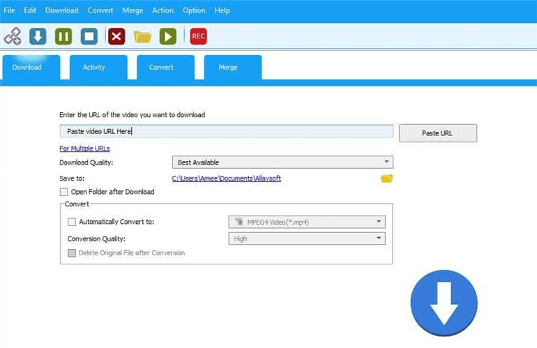 video downloader