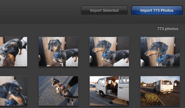 Export Images from Digital Camera to Mac