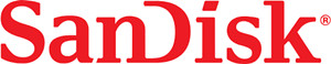 erase data from SanDisk memory card