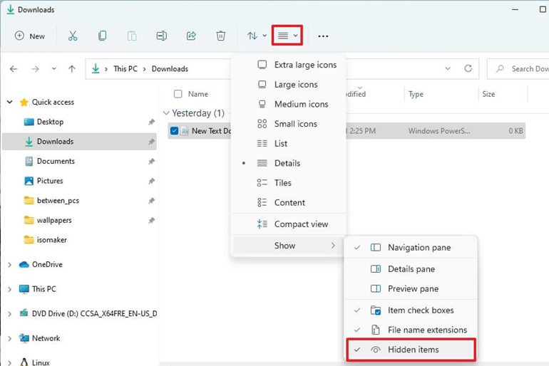 display hidden files on Windows 11