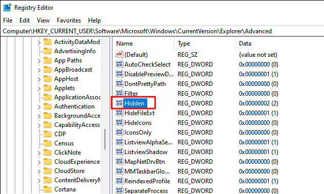 display hidden files on Windows 11