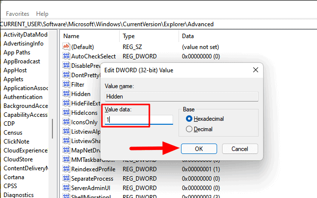 display hidden files on Windows 11