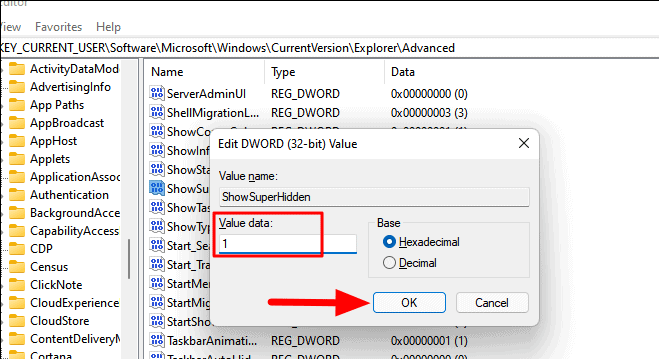 display hidden files on Windows 11