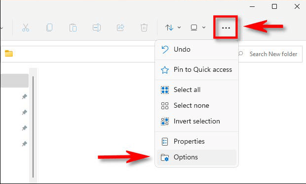 display hidden files on Windows 11