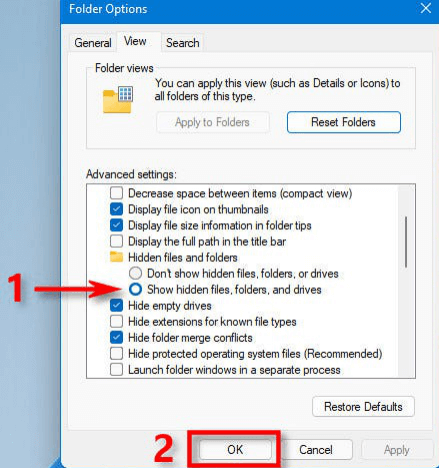 display hidden files on Windows 11