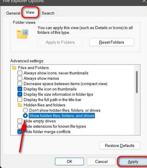 display hidden files on Windows 11