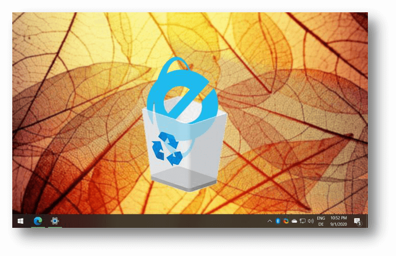 uninstall IE on Windows