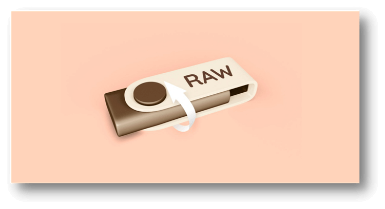 fix RAW error